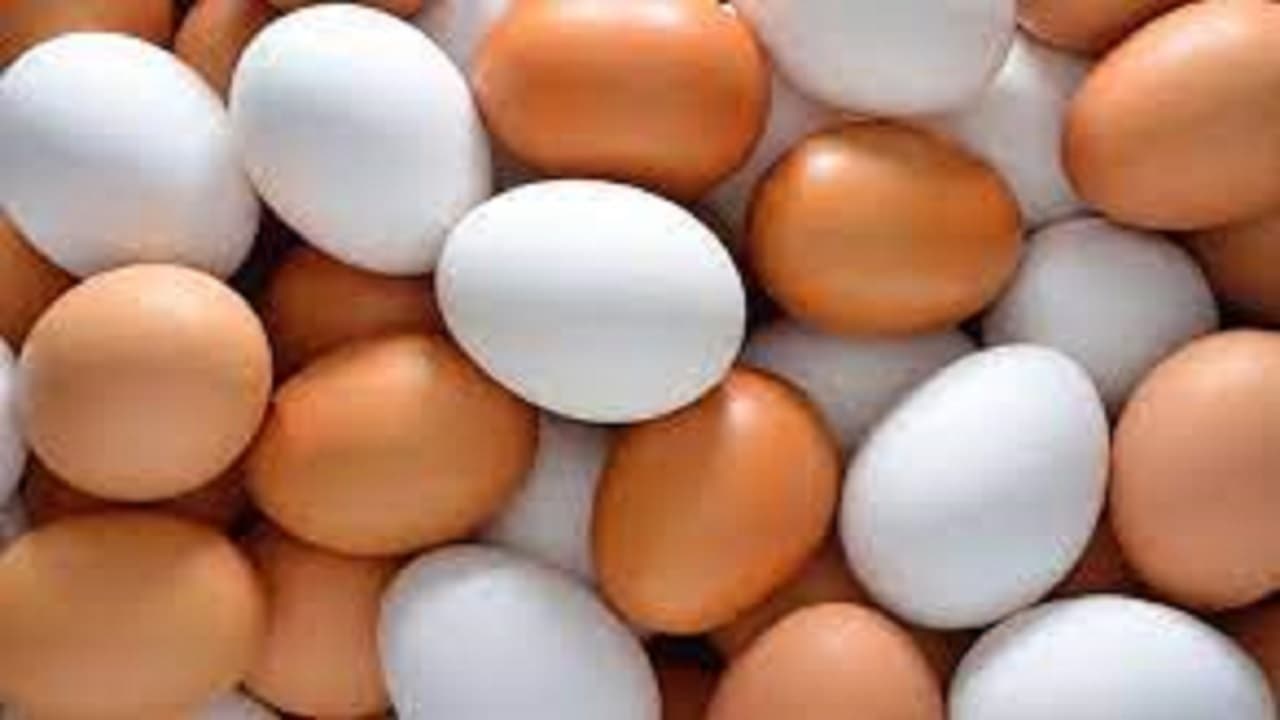 صادرات بیش از ۴ هزار تن تخم‌مرغ از آذربایجان شرقی