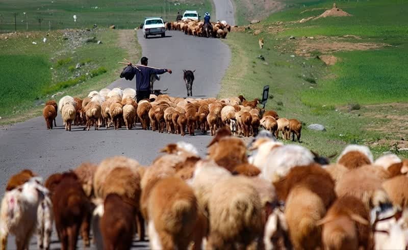 کوچ عشایر این استان از قشلاقات منطقه گرمسیری مغان به ییلاقات واقع در ارتفاعات کوه سبلان و کوه‌های باغرو و بزقوش آغاز شده است.
