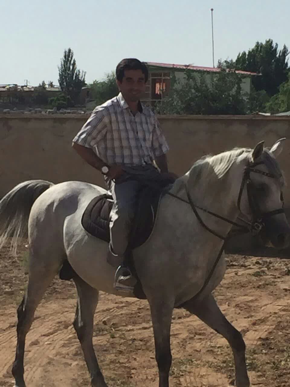 پرورش اسب